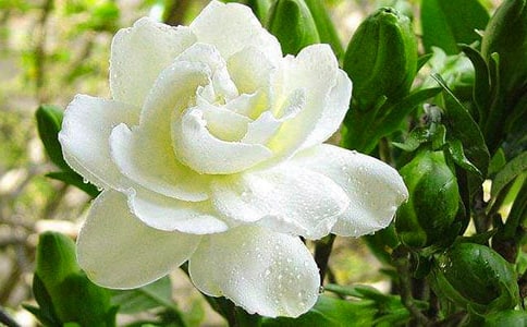 �d�ӻ��_����15ƪ(���T)