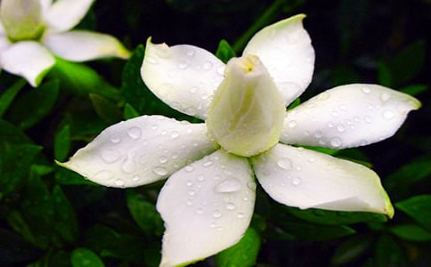 �d�ӻ�������ͨ�ã�8ƪ��