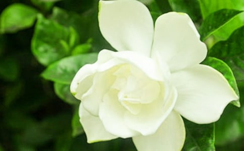 �d�ӻ�������[����9ƪ]