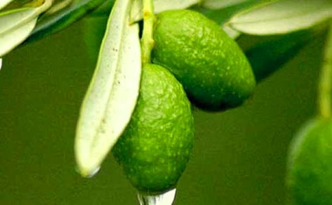 ���|�̳Ǿܽ^�֠����عɣ�1 ̖����˫@���֠����ϙ�֦������ô����