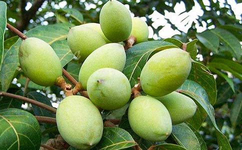 �ϙ�G����