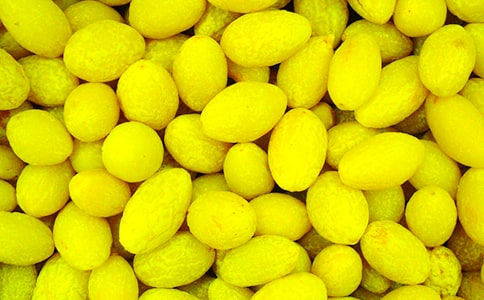 �����]����Ҳ��^һö���ϙ�����