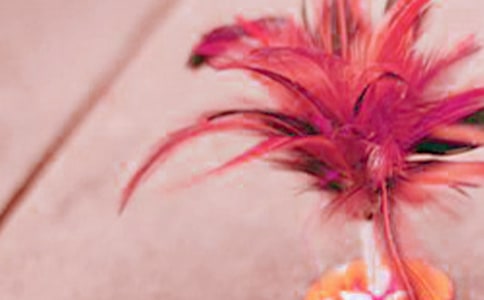 ���f(xi��)��(hu��)��Ո(q��ng)��(sh��)