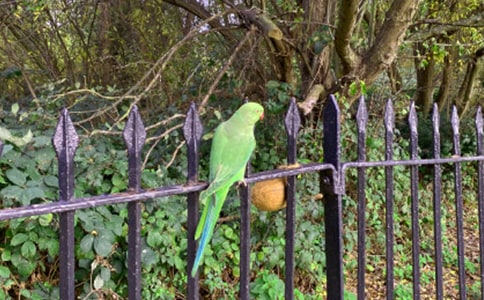 ���W�^���ԭ�ļ��p��