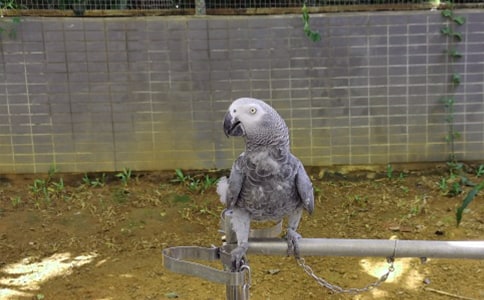 �����x���W�^������