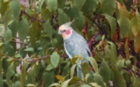 �W�^���������ģ����x19ƪ��