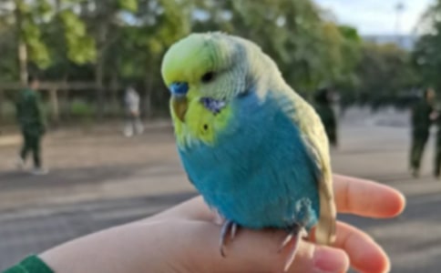 [���T(m��n)]�ɐ�(��i)��С�W�^����