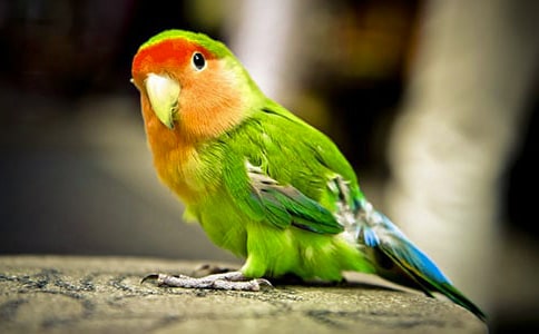 ���vɽ���W�^�ĺ�(ji��n)�� ���vɽ���W�^�Įa(ch��n)��