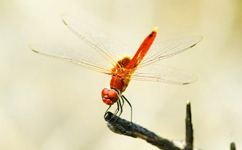 ���o��������