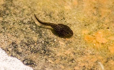 �ɐ۵�С�������