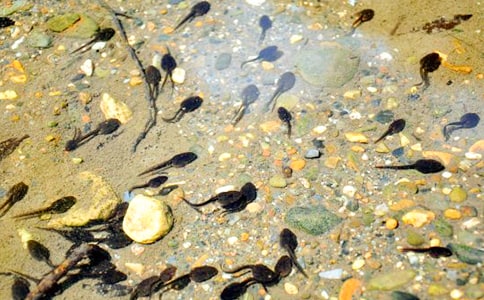 ����ҋ����Ĺ��º��̣����x14ƪ��