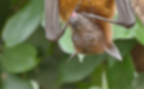 ���������b����