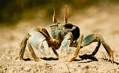 [�ϼ�]���з����15ƪ