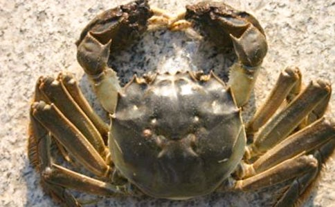 �����з�r(sh��)��Ҫʲô