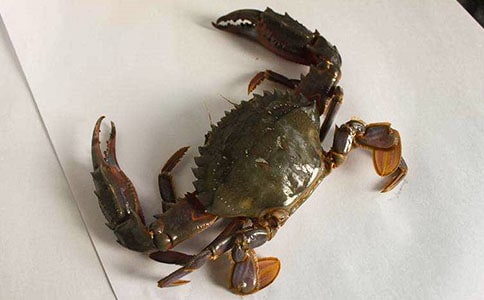 �з������[���A]