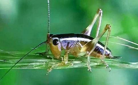 ��߀�l(xi��ng)����ͨ��12ƪ