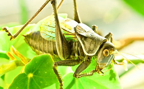 ���סլ�ڶ��n�r(sh��)�u(p��ng)�n�巶�ģ����x10ƪ��