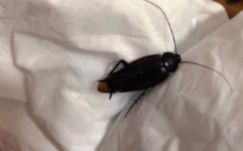 ׽������ģ����x15ƪ��