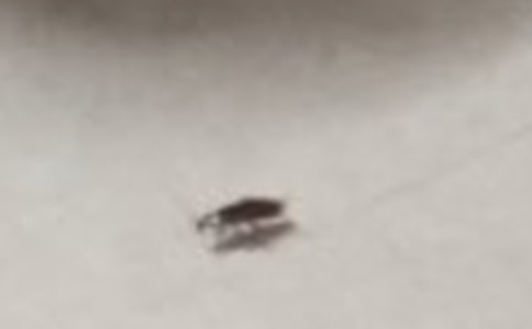 ���v�U(xi��n)ӛ����