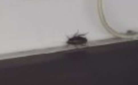 �o������