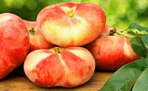 ��ҕ�(hu��)�Ĺ��� -�Y��