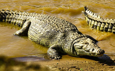 �{�~(y��)���ۜI����