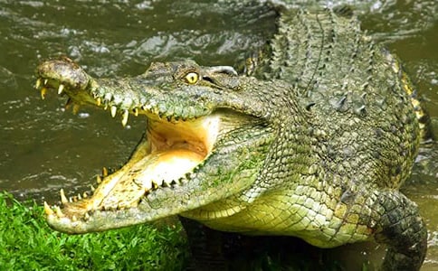 �{�~(y��)����������ӛ���x����