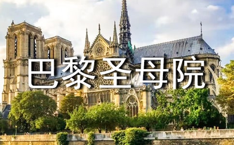 ������ʥĸԺ���x���13ƪ