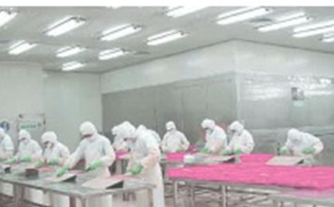 �����]��܇�g���ι���؟(z��)15ƪ