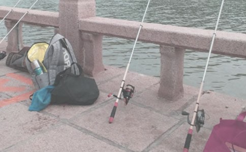 小貓釣魚(yú)的作文300字錦集九篇