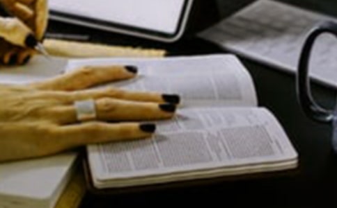 ���{�L���۾����x��м���15ƪ