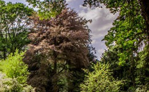 ���L���L(f��ng)������7ƪ