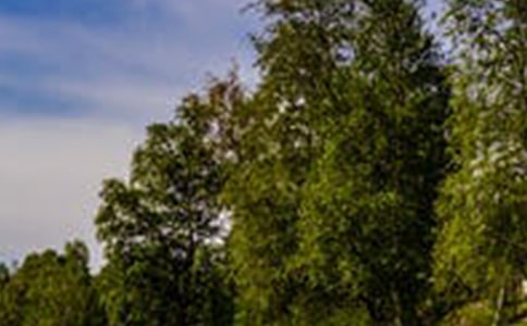 �P(gu��n)�ڳ��L���L(f��ng)������3ƪ