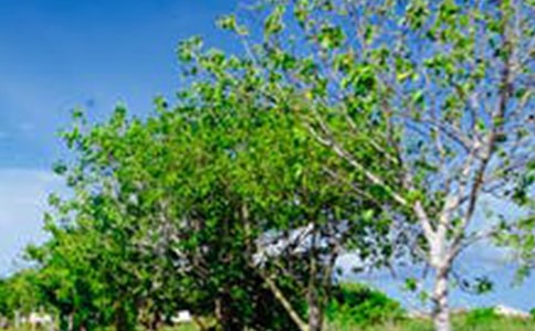 寫風(fēng)景的詩(shī)句古詩(shī)_寫風(fēng)景的古詩(shī)