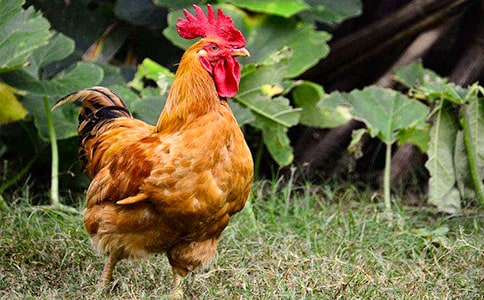 ���u����