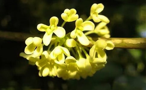 ��С�W���ģ����x20ƪ��