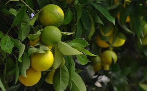 �S�յĹ��@����[����15ƪ]