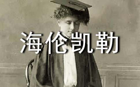 �����P���x���(15ƪ)