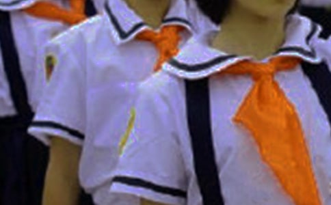 (優(yōu)秀)我與紅領(lǐng)巾作文15篇