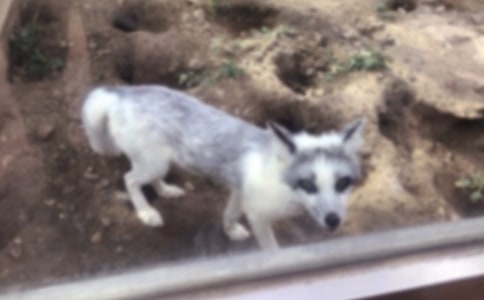 ���]����؂�c���f�Ĺ���15ƪ