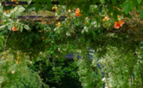 �λ��@����15ƪ(���])