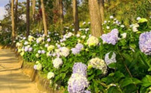 �λ��@����[��(sh��)��15ƪ]