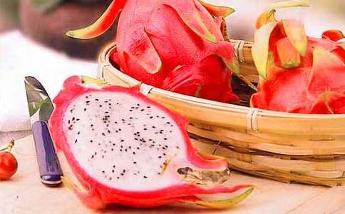 ̽�ػ�������������