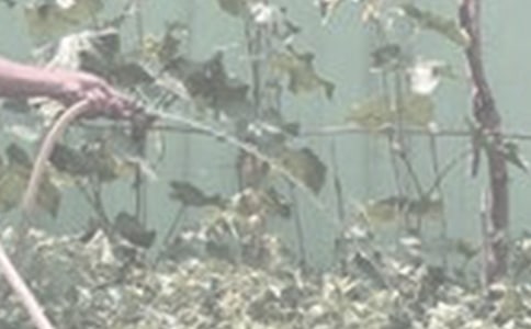 �������D��Ԓһ�꼉(j��)