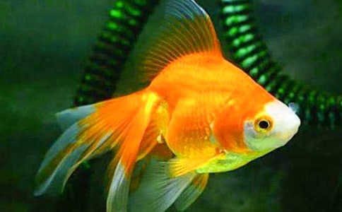 �����ϵĽ��~���^���14ƪ