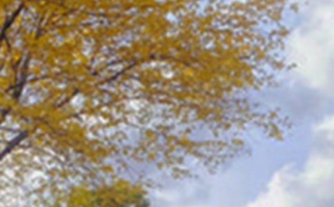 ����(y��u)�㣩��ɫ����600��4ƪ