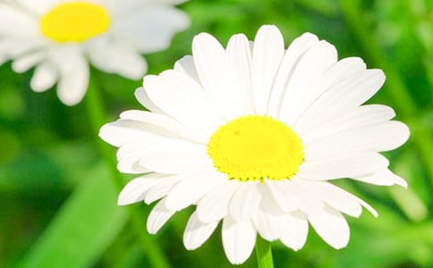 �ջ���Ԋ��