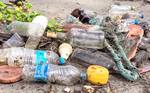 ���������D��Ԓ