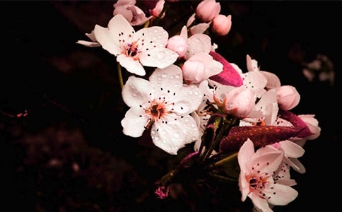 [���T]�滨������