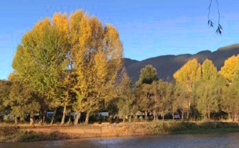 [��]�����ų�����